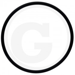 O-RING 70815345