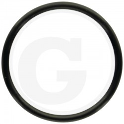 O-RING ARBORE 85215078