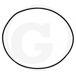 O-RING 70815354