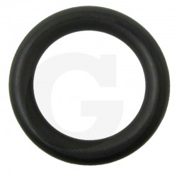 O-RING 38002500