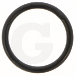 O-RING 32581862872