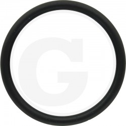 ORING 640R504734
