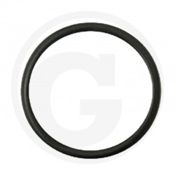 ORING 38012400