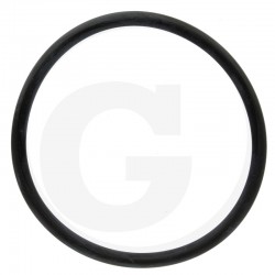 ORING 640Z44829