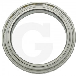 RULMENT 197007700069706