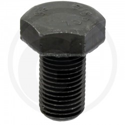 SURUB SAPHIR 485961A12X125X020