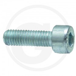 SURUB CILINDRIC 485912153